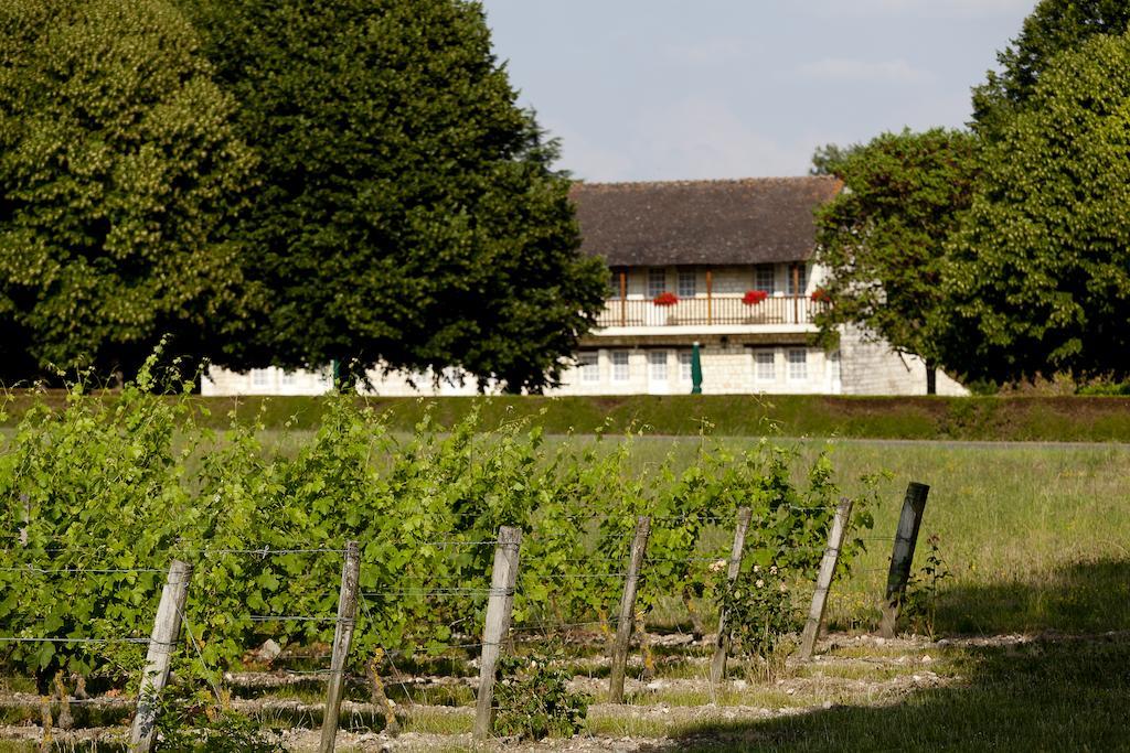 Chateau De Marcay מראה חיצוני תמונה